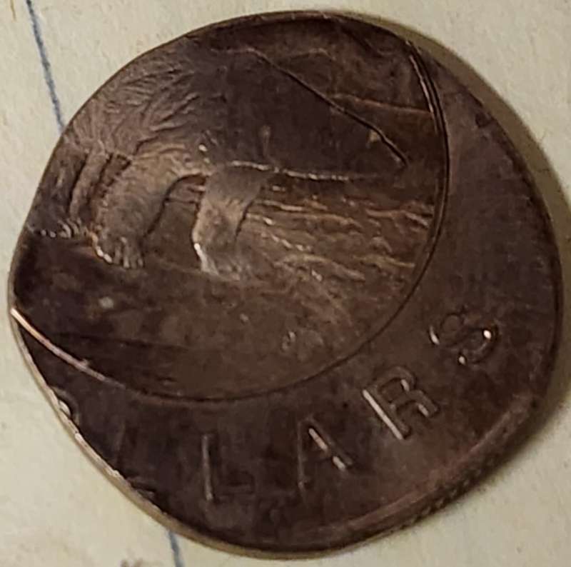 PMD-Or-Actual-Error-Twoonie?